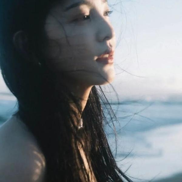 美国佬与他的后宫
